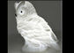Cute Mini Pure / Warm White Owl LED Night Light Soft PVC Material For Party Gift supplier