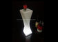 Remote Control LED Flower Pots Battery Operated Included RGB LED Lamp supplier
